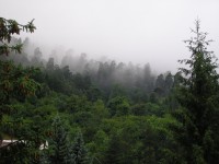 dilijan-2