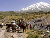 ararat-2