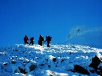 ararat-3